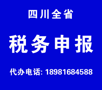 泸县泸县税务申报